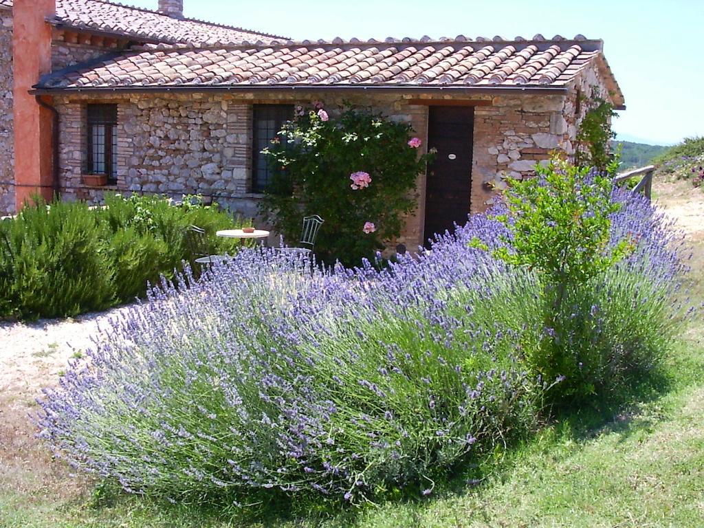 Podere Costa Romana Narni Dış mekan fotoğraf