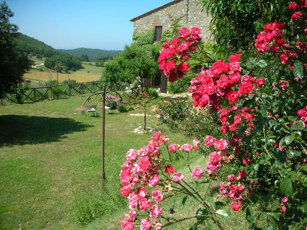 Podere Costa Romana Narni Dış mekan fotoğraf